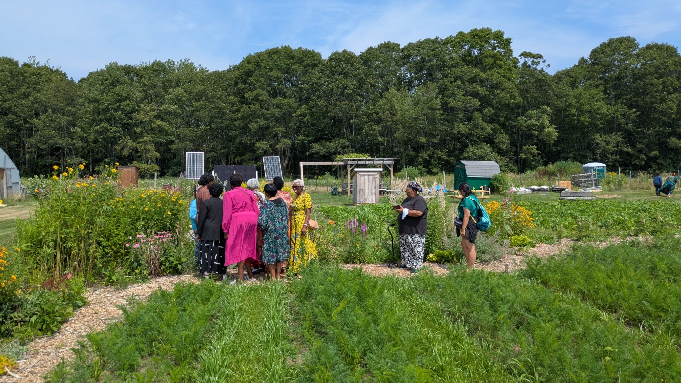 Elders enjoying the community garden.